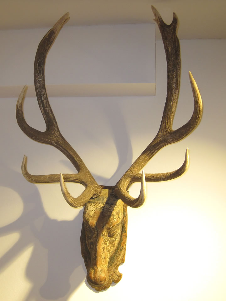 Hirschgeweih